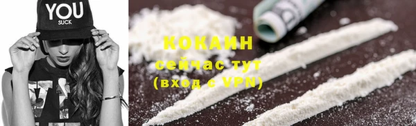 прущая мука Новодвинск