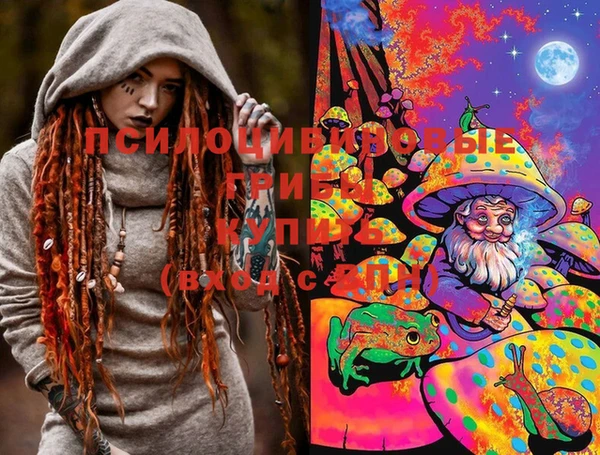эйфоретик Новозыбков