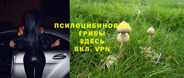 марихуана Новокубанск