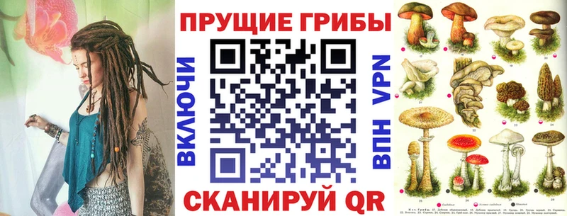 где купить наркотик  Рыбное  Галлюциногенные грибы мицелий 
